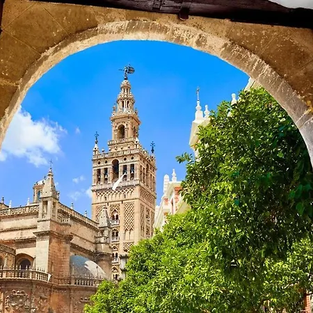 Ad2a Luminoso 2 Bedroom Apartment, 250m De Catedral Apartment *